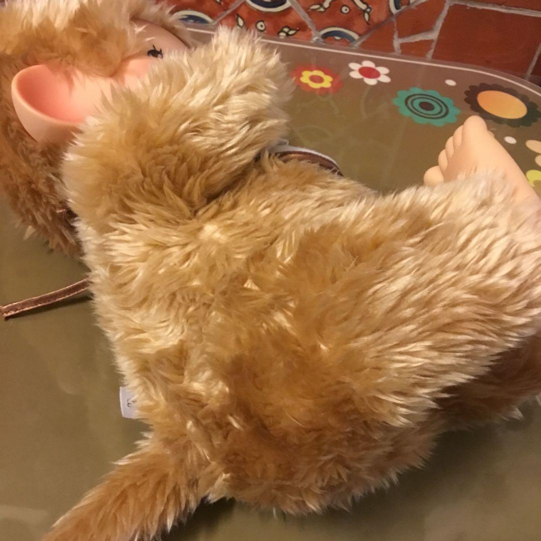 ゴールドモンチッチ Lサイズ 40th - メルカリ